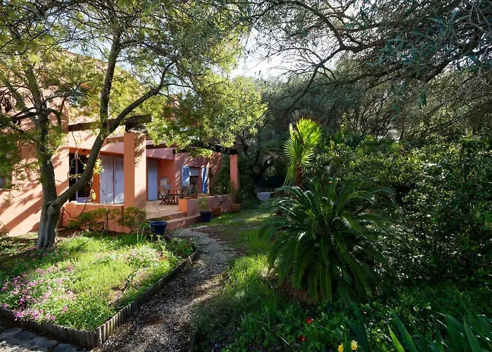 Chez Regine Et Serge * Bandol